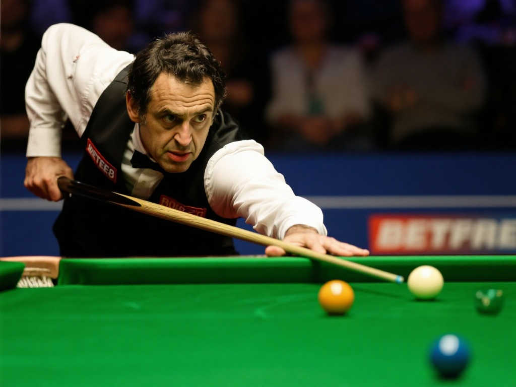 展现才华的 展现才华的